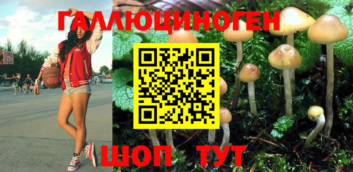 Лабытнанги  Псилоцибиновые грибы Psilocybine cubensis  Вход с VPN 