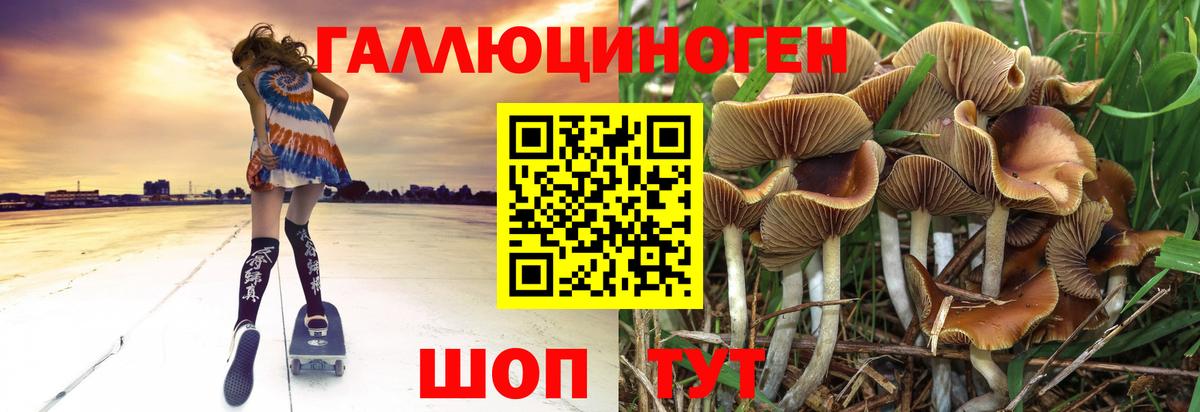 Галлюциногенные грибы Psilocybe Лабытнанги